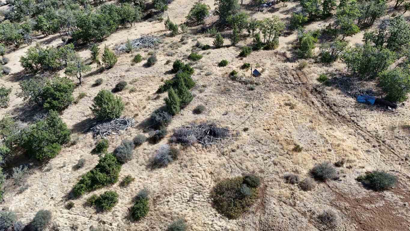 Lot 285 & 286 Cougar St