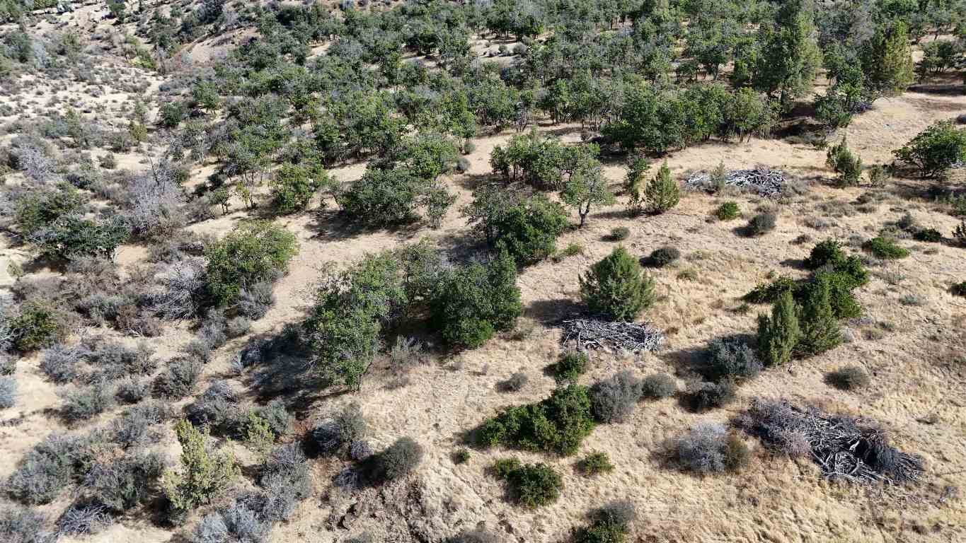 Lot 285 & 286 Cougar St