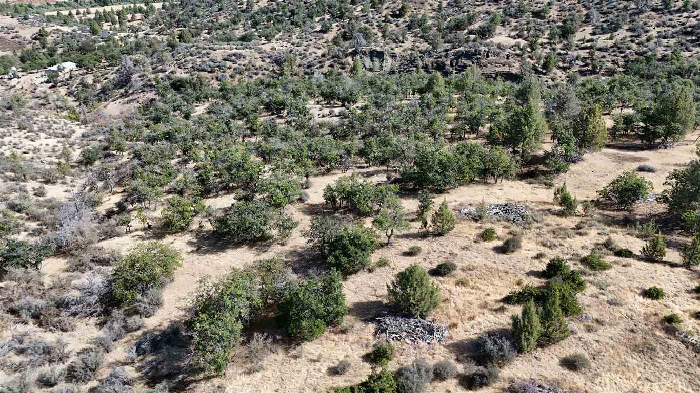 Lot 285 & 286 Cougar St