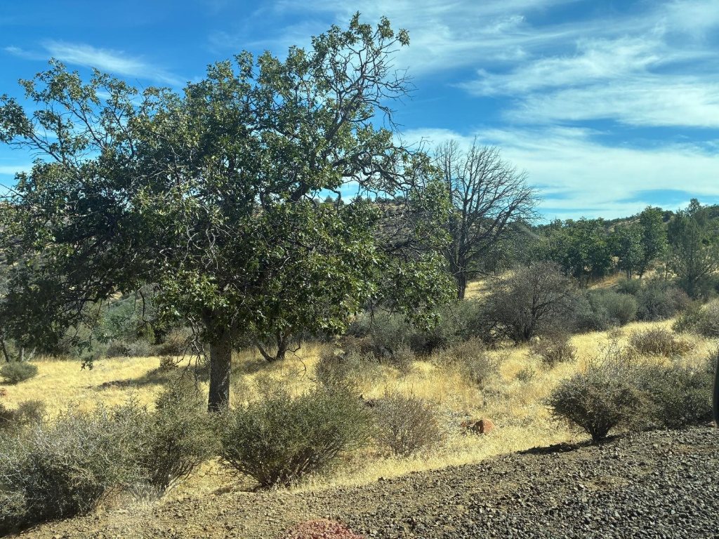 Lot 285 & 286 Cougar St