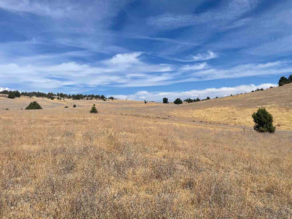 Lot 44 Lake Cove Rd