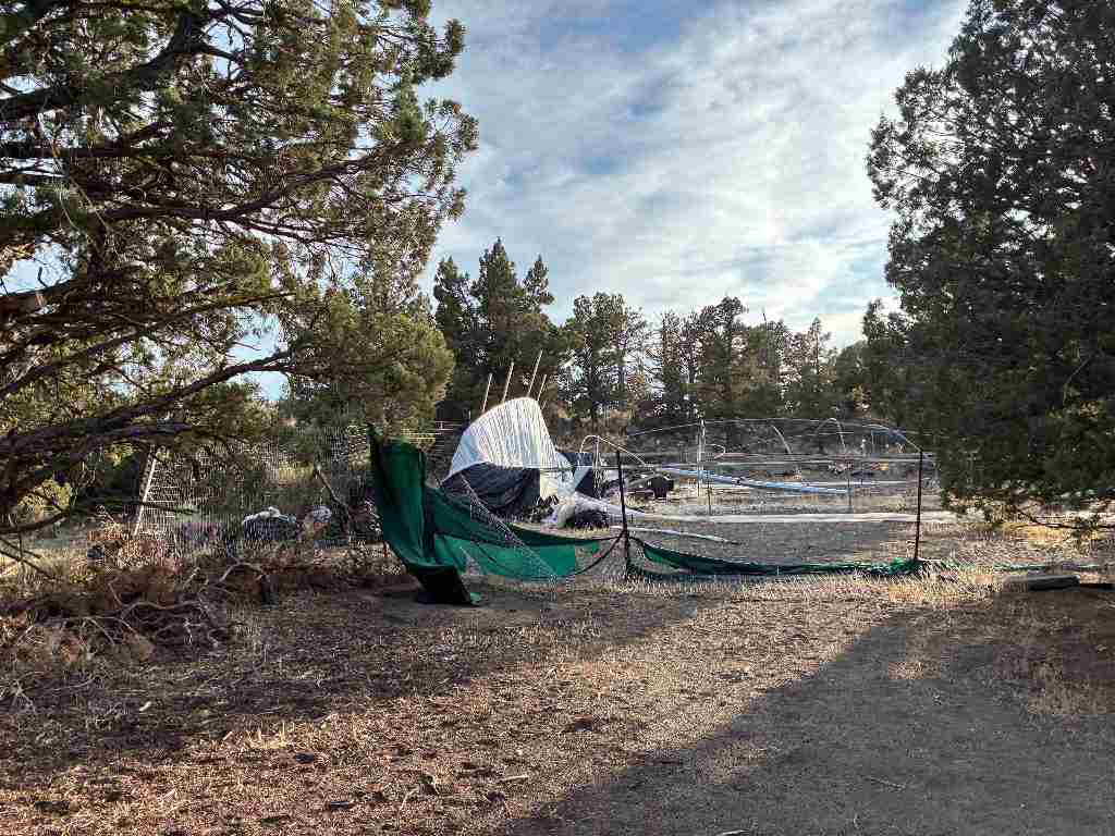 Lot 19 Lot 19 Jennie Rd
