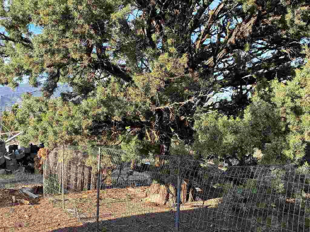Lot 19 Lot 19 Jennie Rd