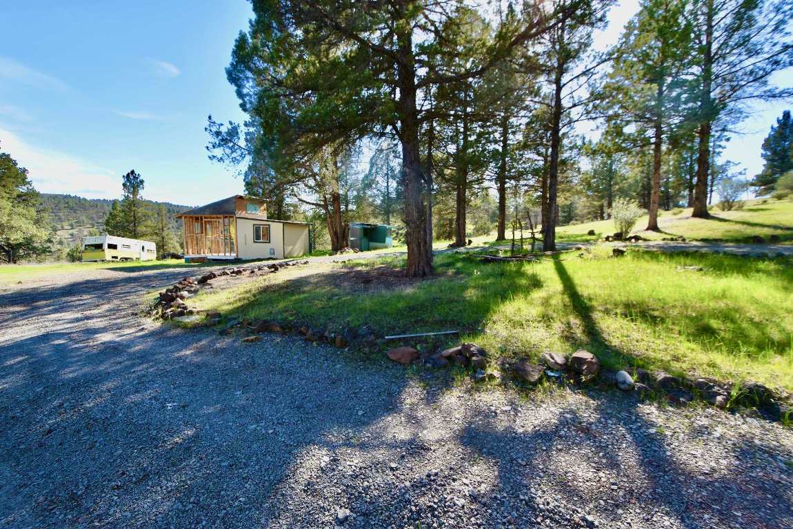 Lot 539 Blue Gill