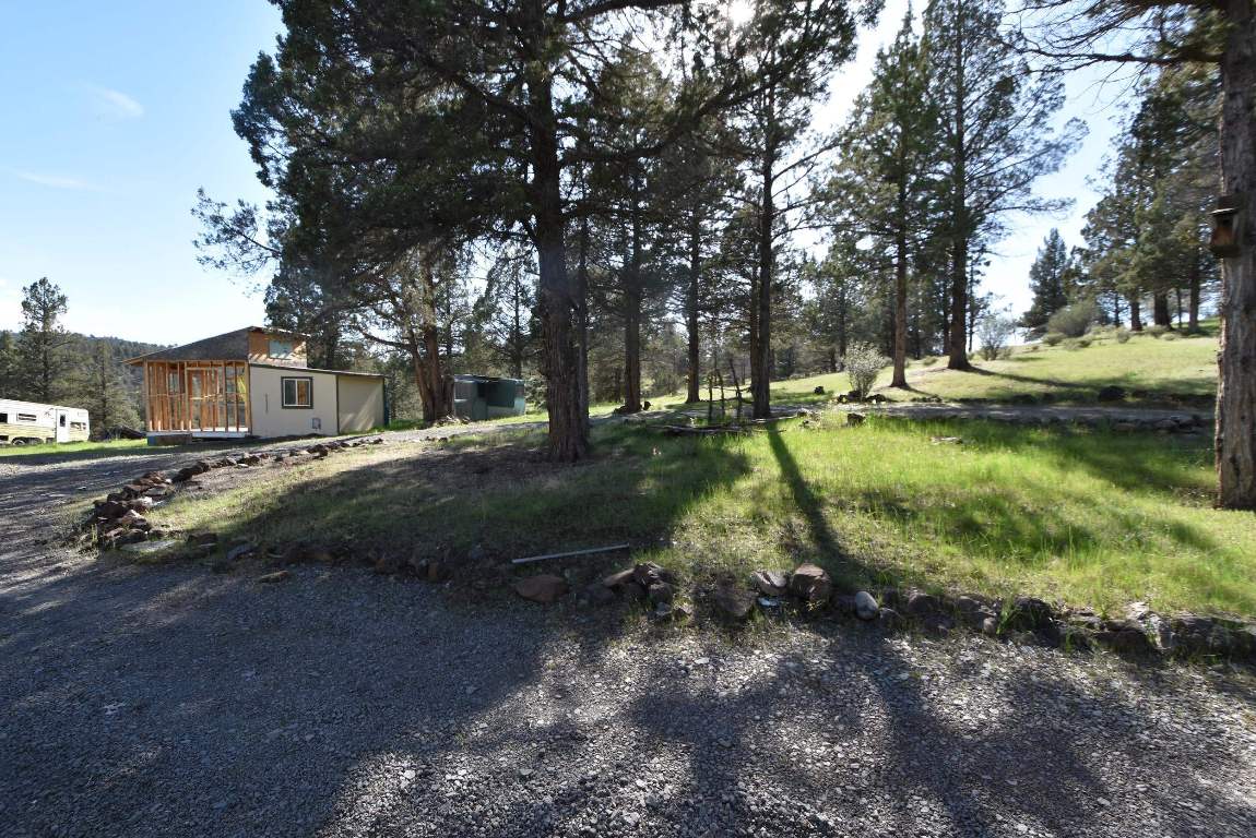 Lot 539 Blue Gill