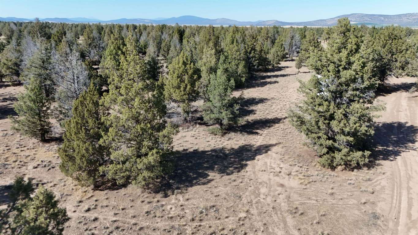 xx Lazy Ranch Road