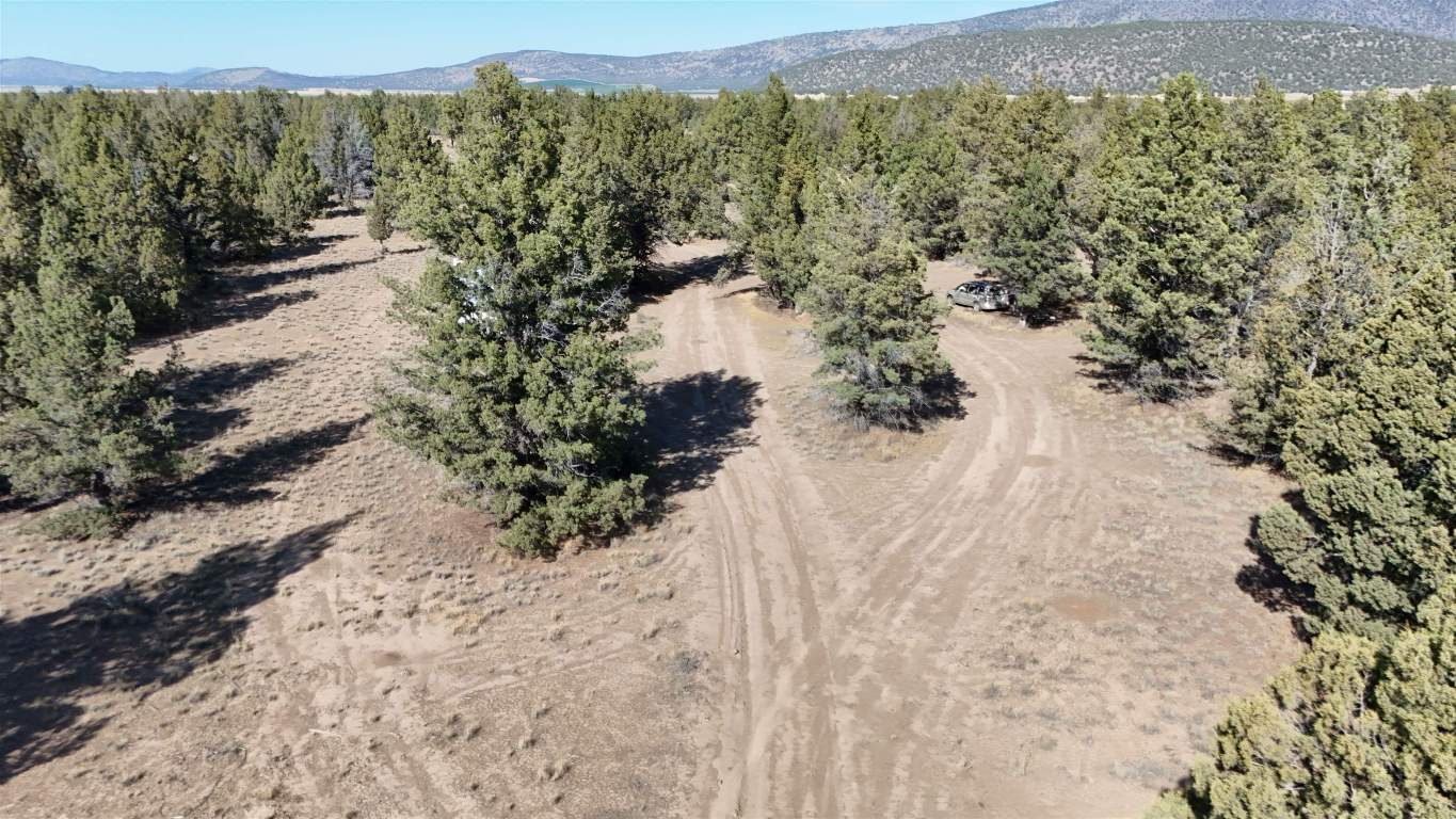 xx Lazy Ranch Road