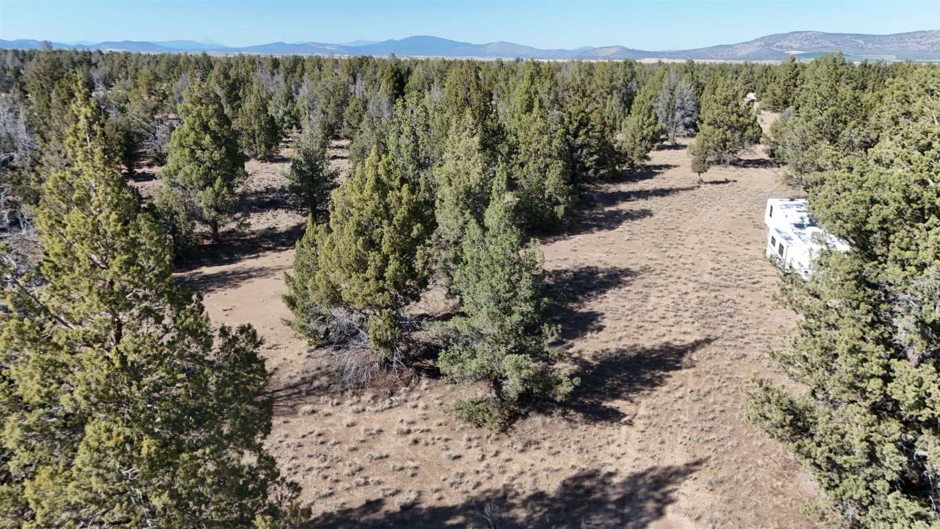 xx Lazy Ranch Road