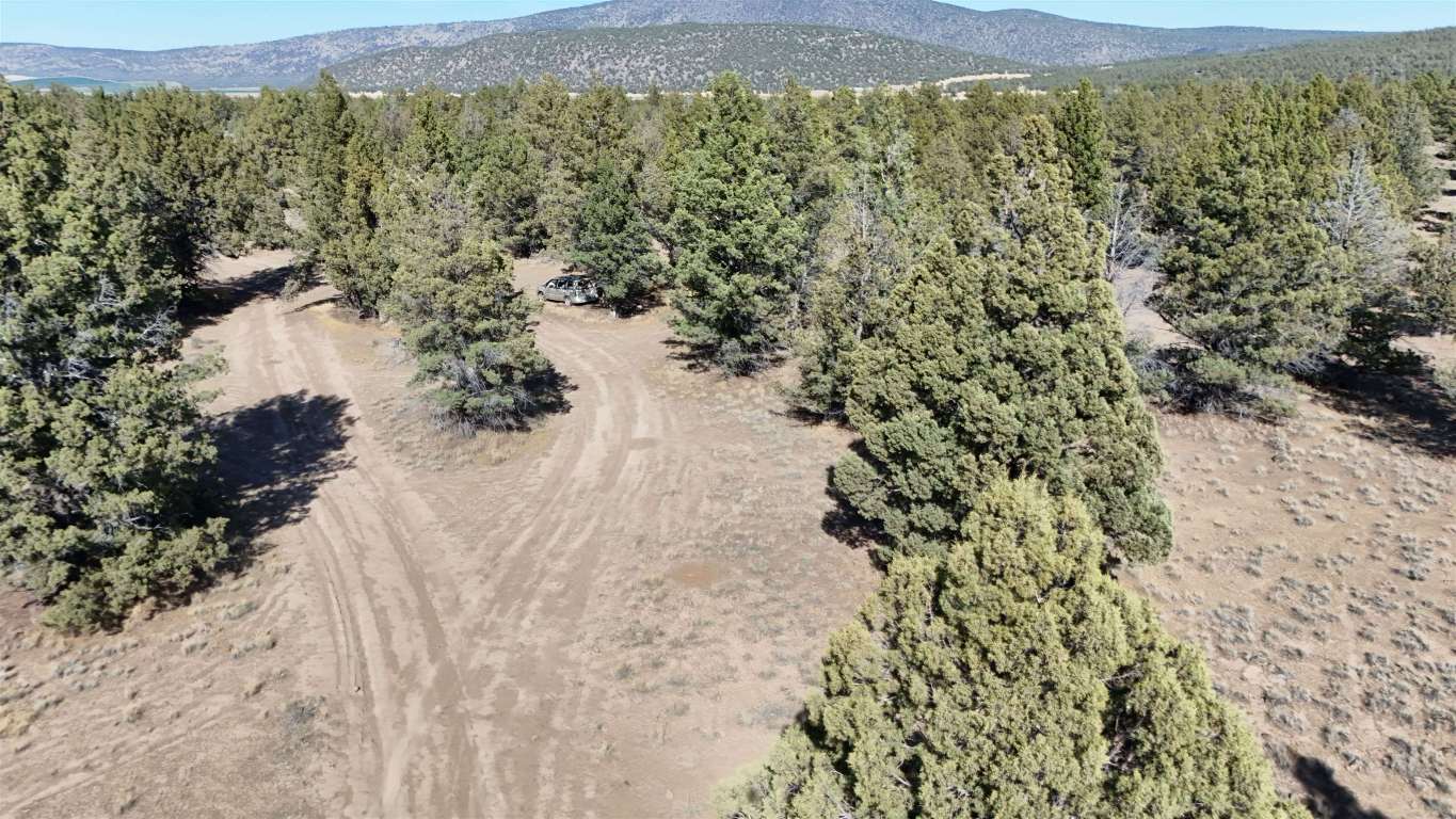 xx Lazy Ranch Road