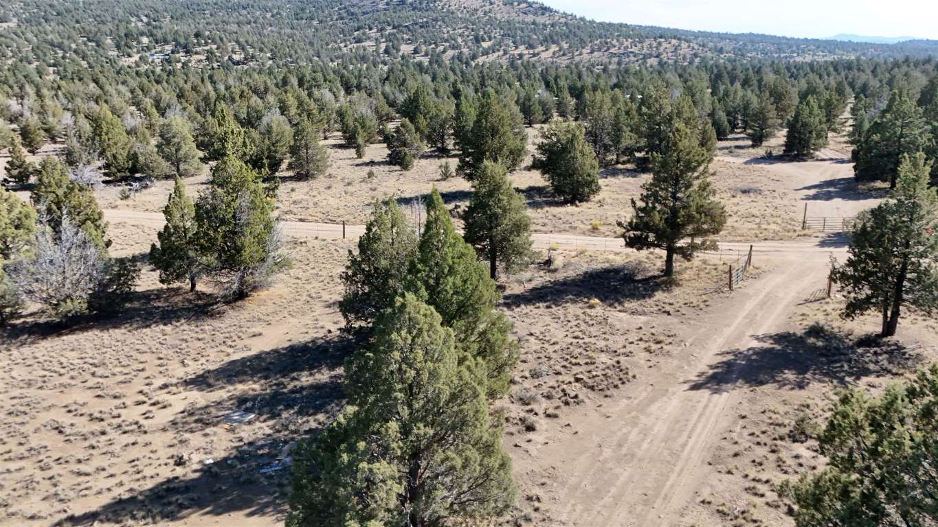 xx Lazy Ranch Road
