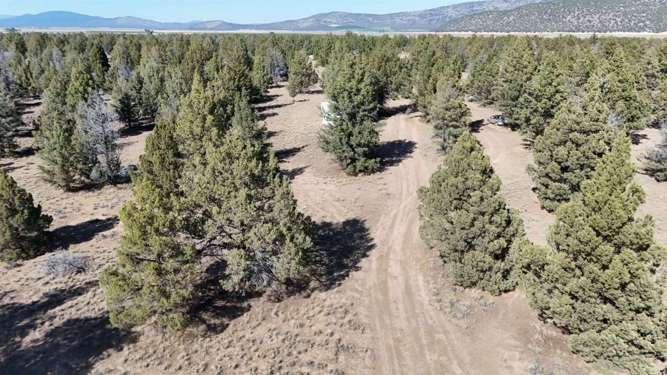 xx Lazy Ranch Road