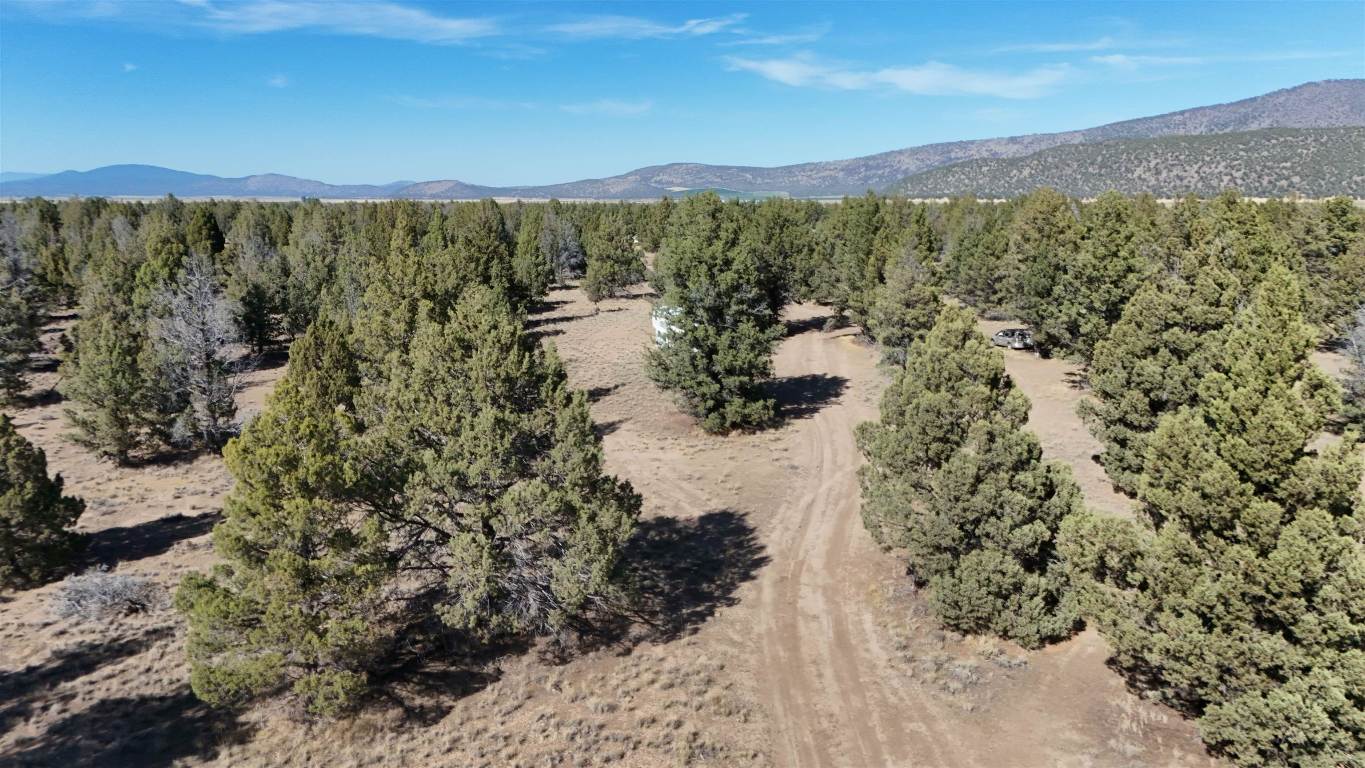 xx Lazy Ranch Road