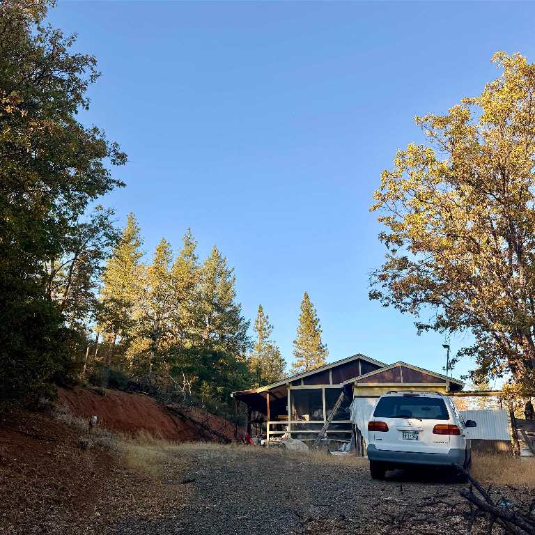13227 Pine Tree Ln