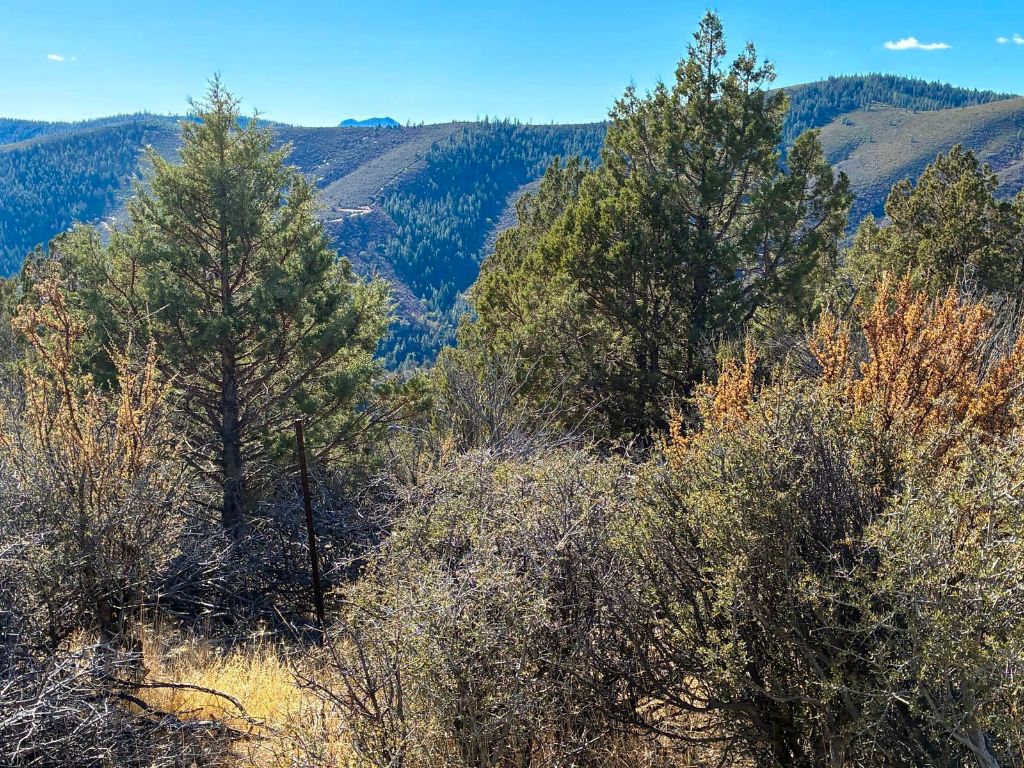 xx Scarface Road
