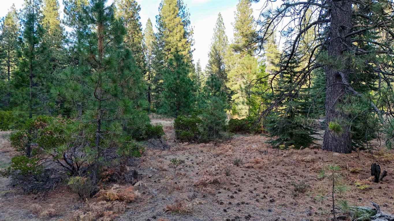 6729 Shasta Cove