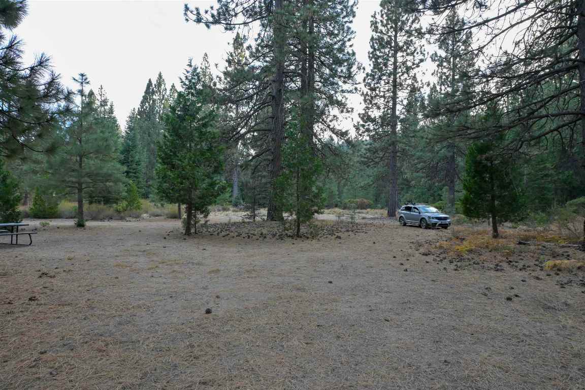 6729 Shasta Cove