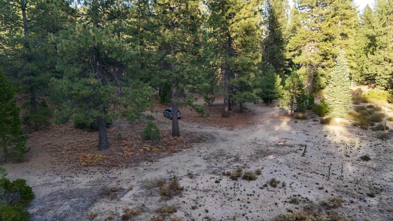 6729 Shasta Cove