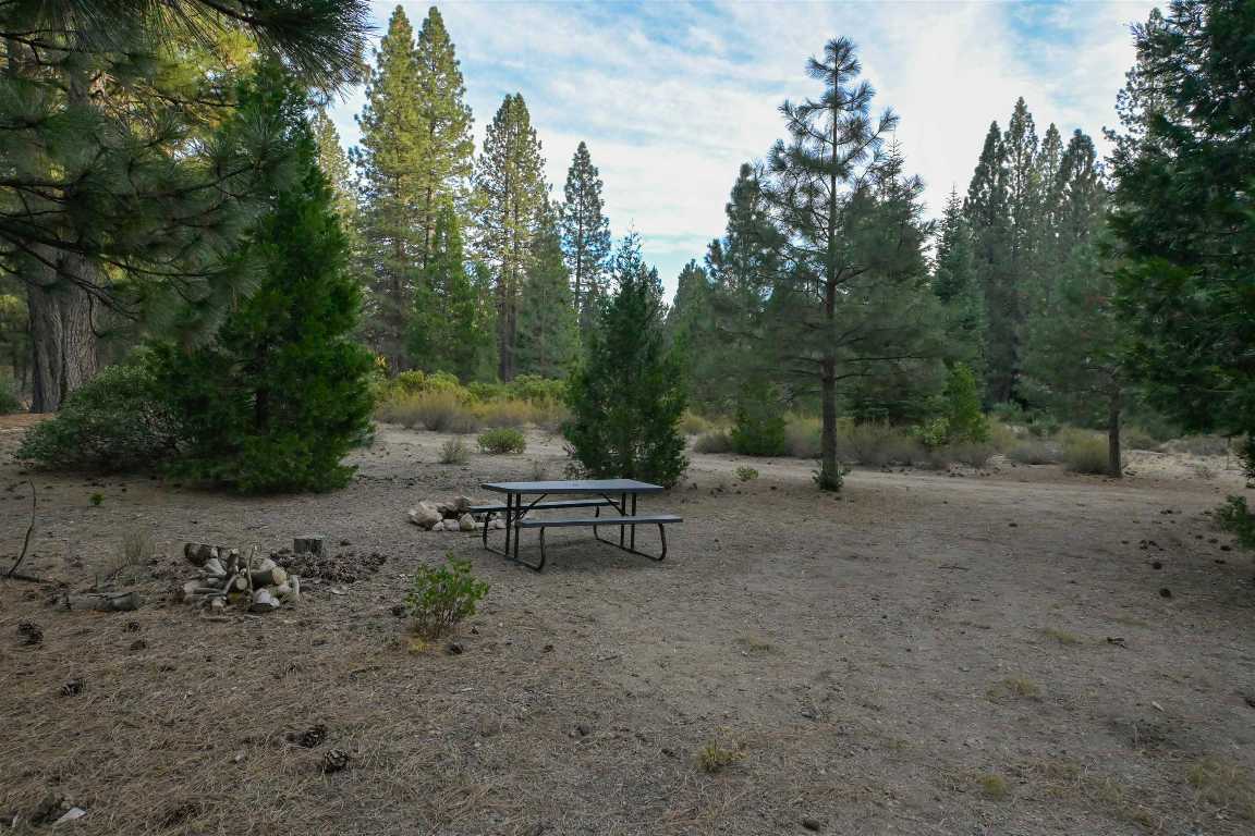 6729 Shasta Cove