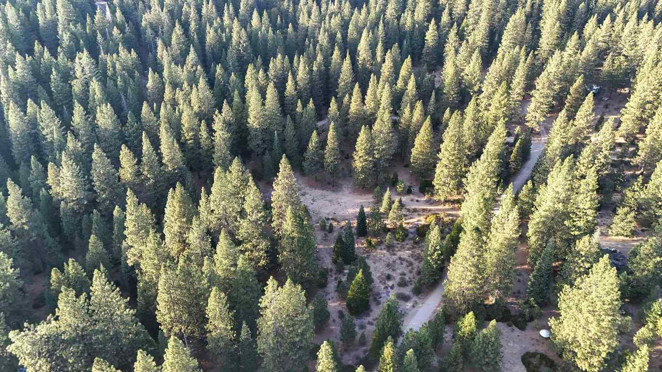 6729 Shasta Cove