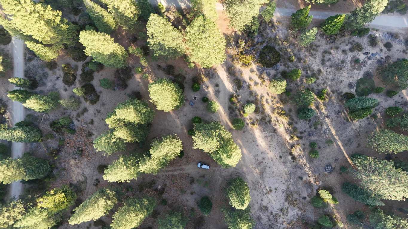 6729 Shasta Cove