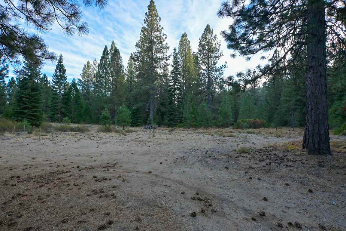 6729 Shasta Cove