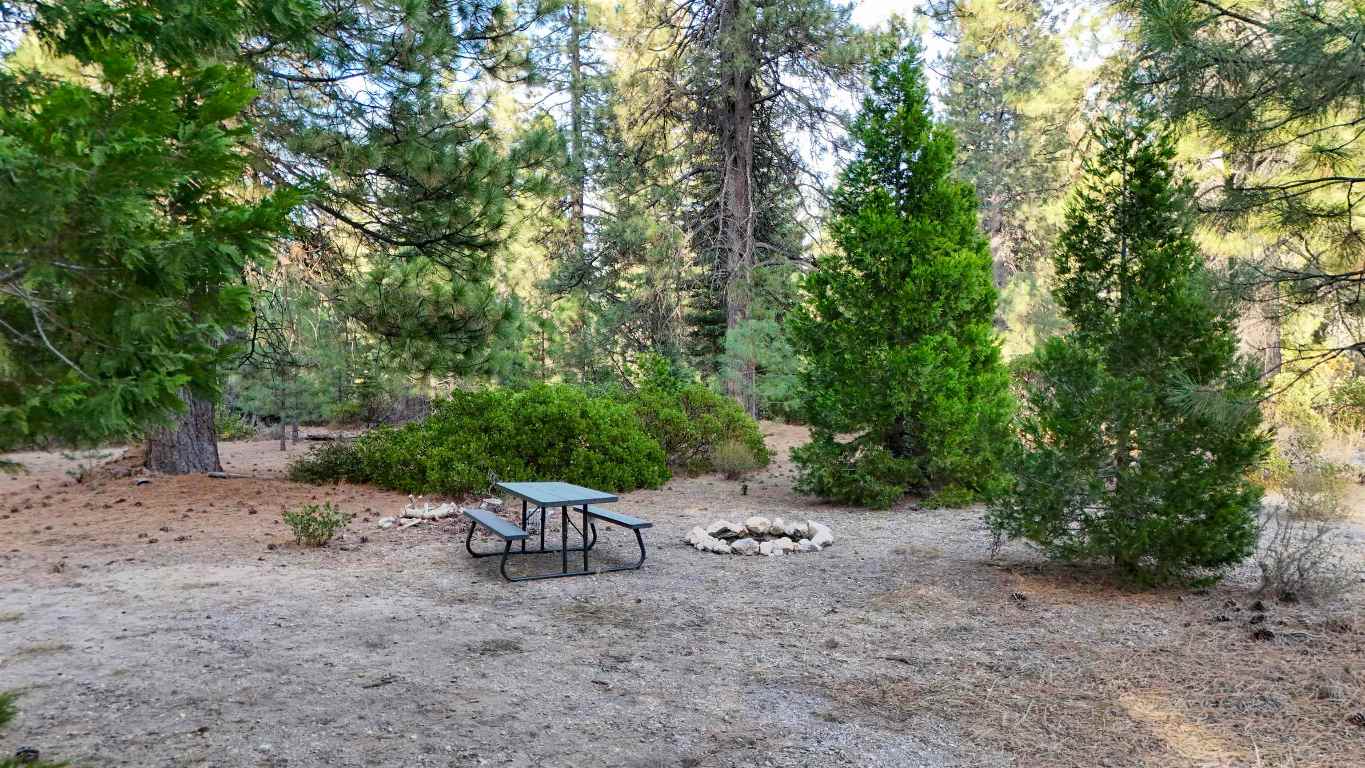6729 Shasta Cove