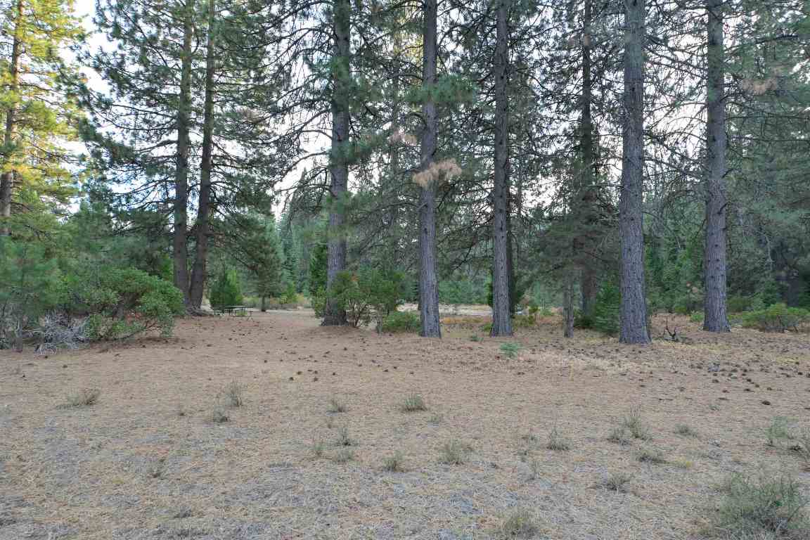 6729 Shasta Cove