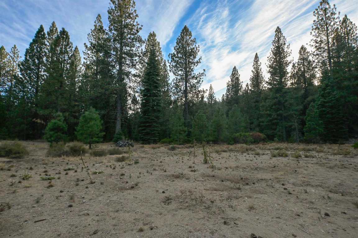 6729 Shasta Cove