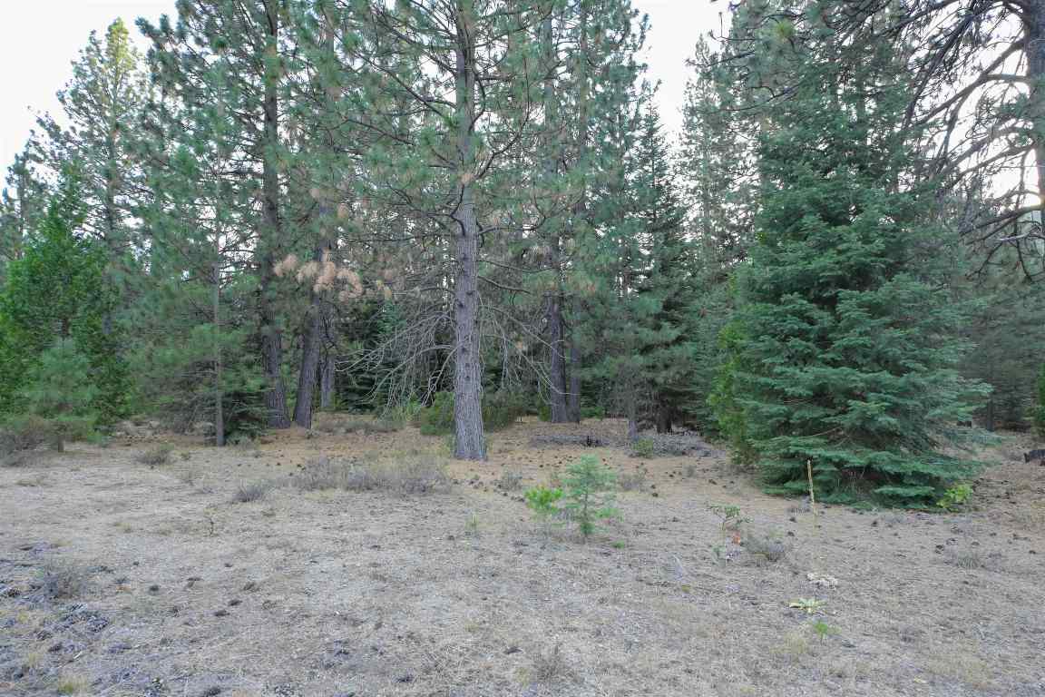 6729 Shasta Cove
