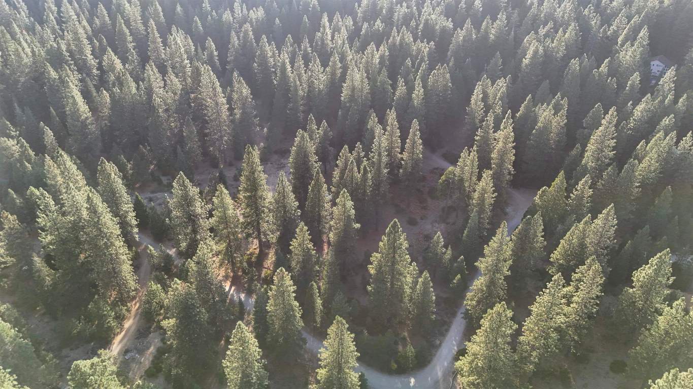 6729 Shasta Cove