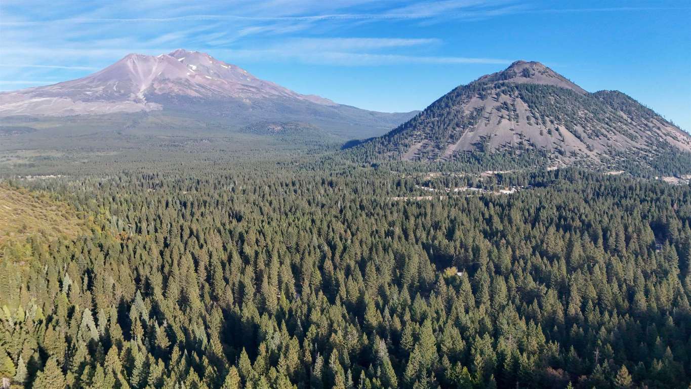 6729 Shasta Cove
