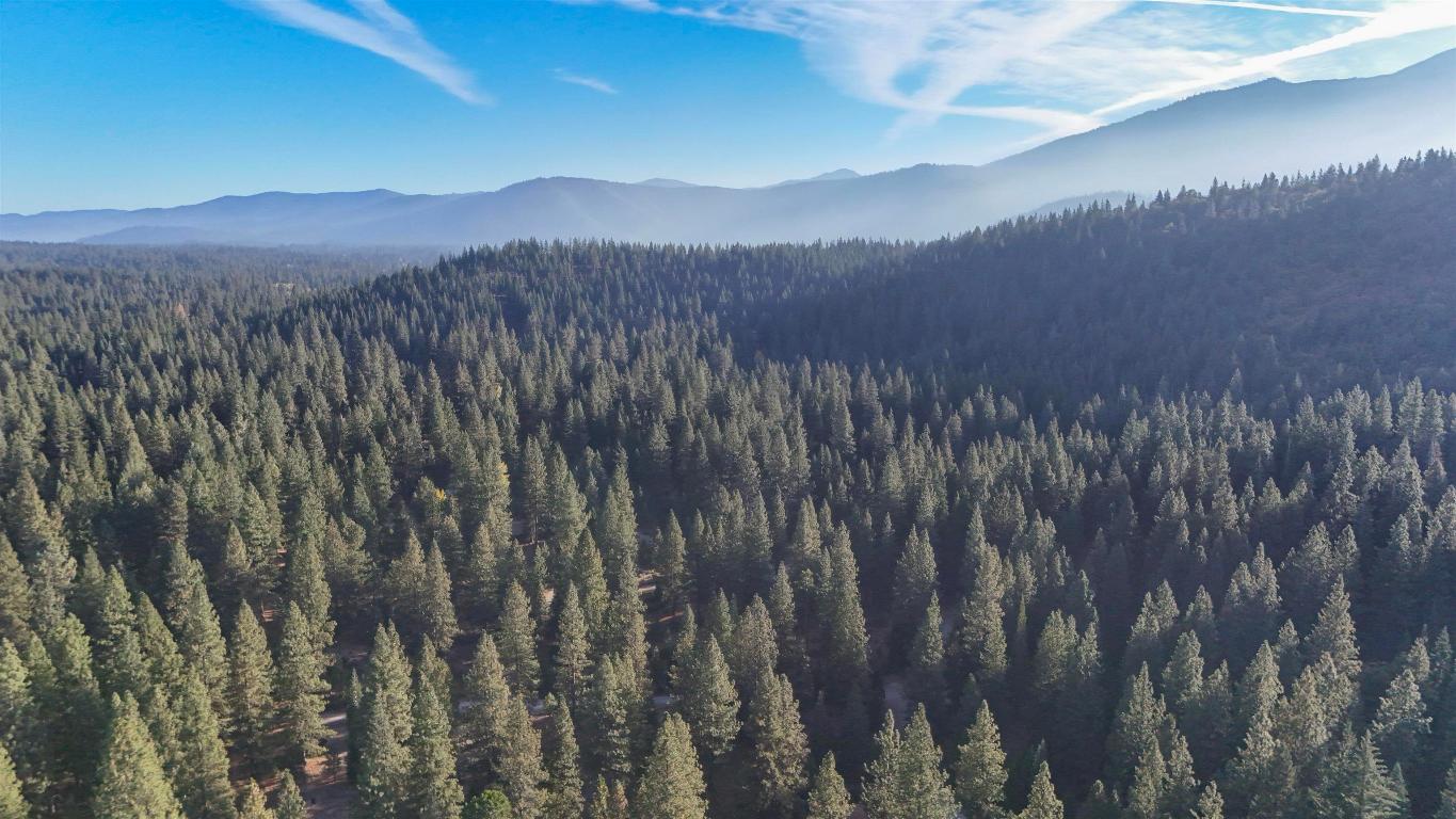 6729 Shasta Cove