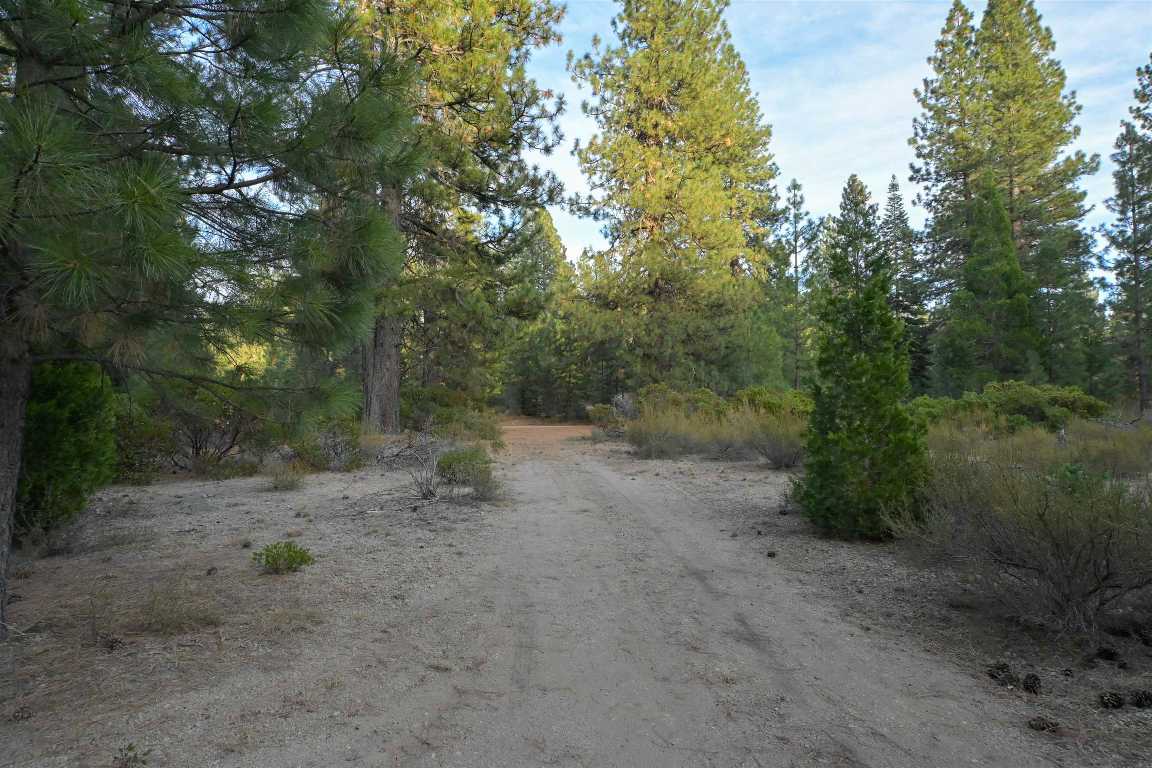 6729 Shasta Cove