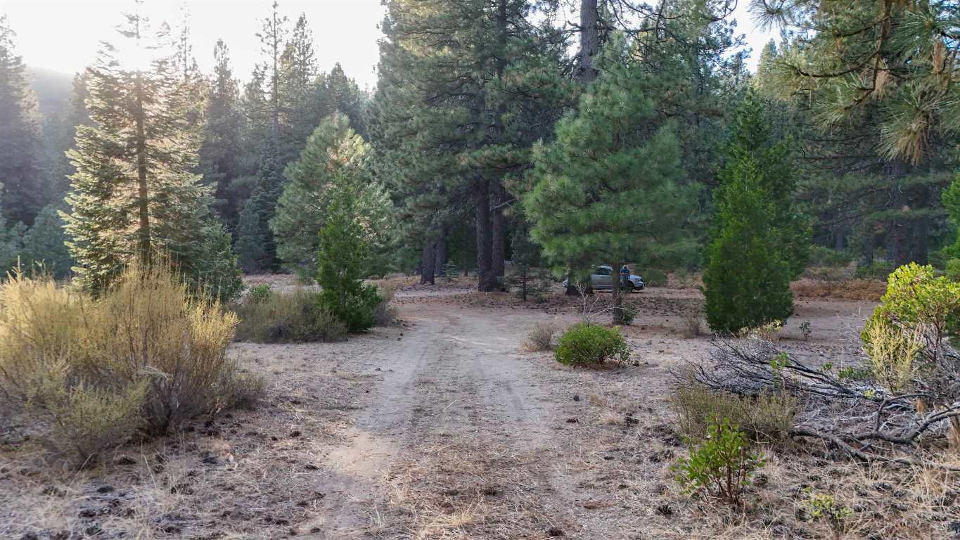 6729 Shasta Cove