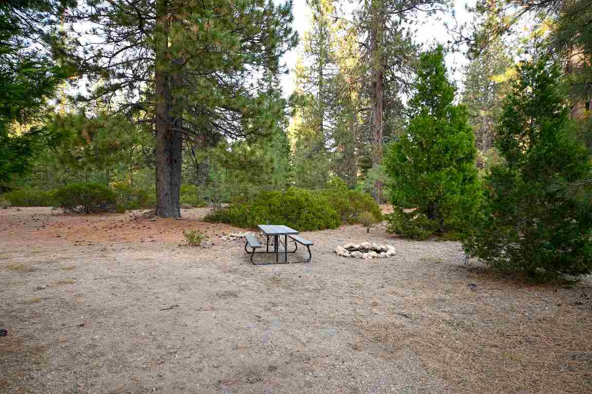 6729 Shasta Cove