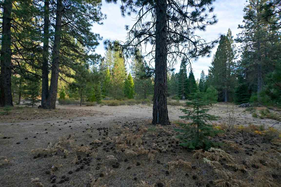 6729 Shasta Cove