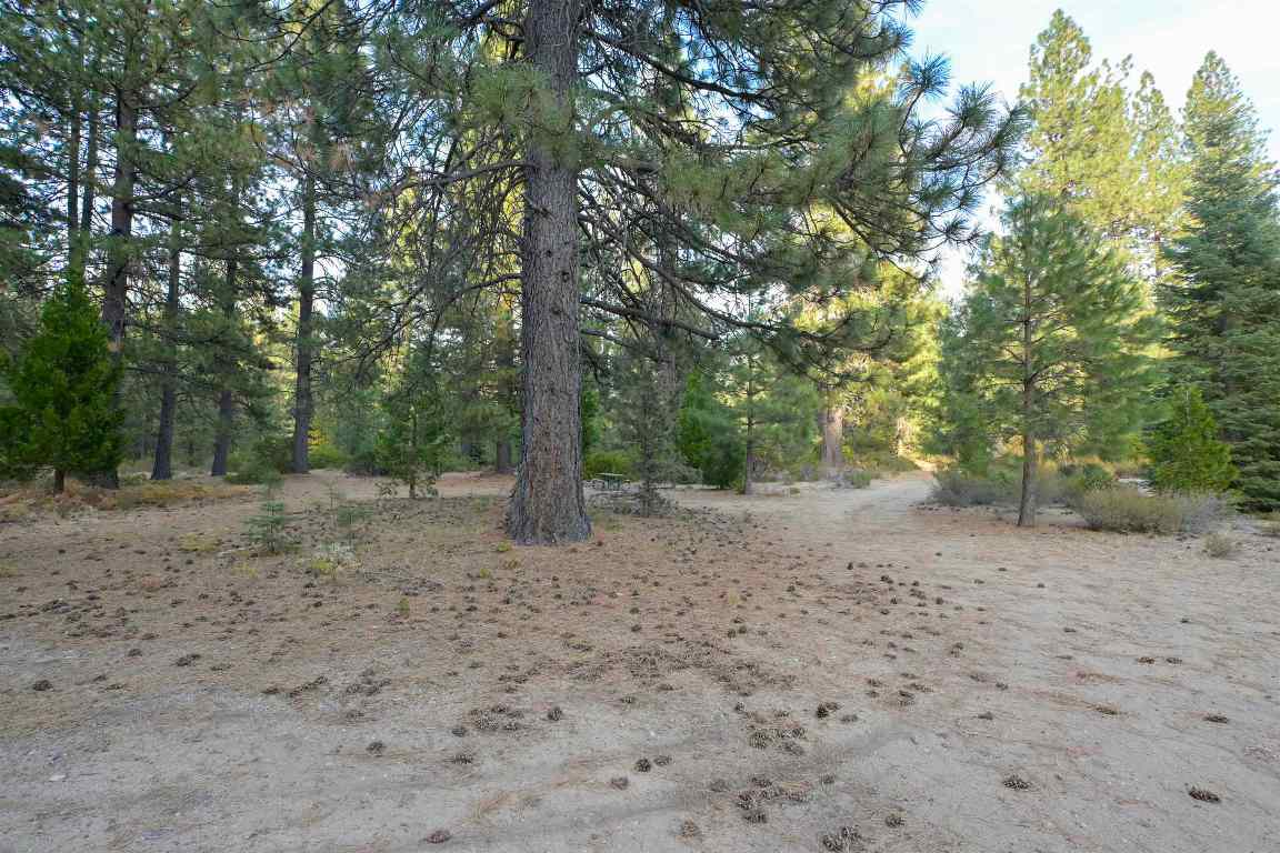 6729 Shasta Cove