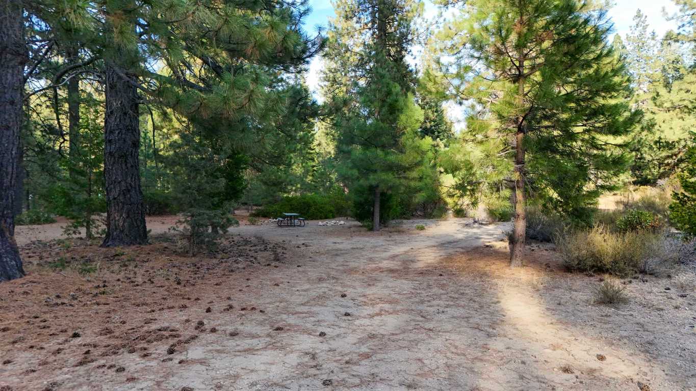 6729 Shasta Cove