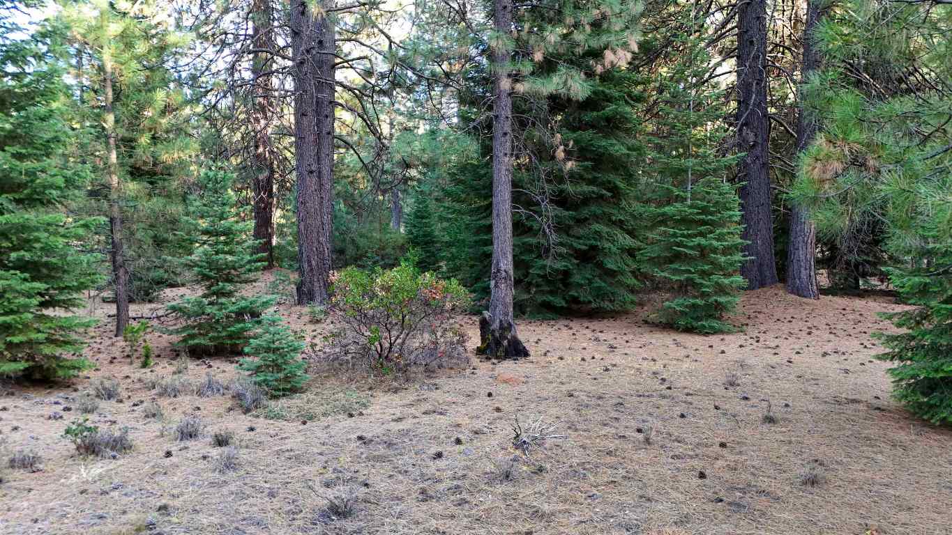6729 Shasta Cove