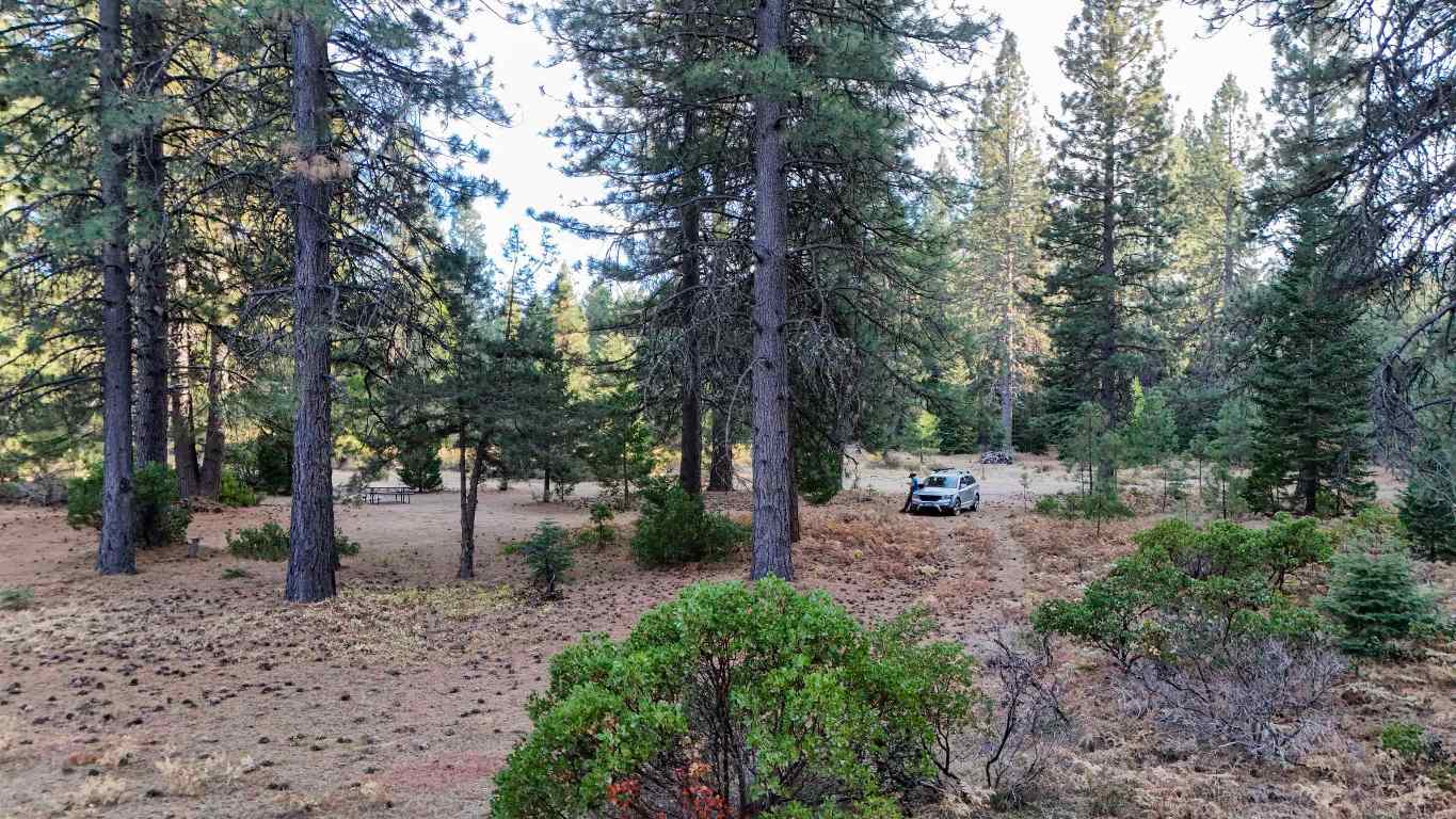6729 Shasta Cove
