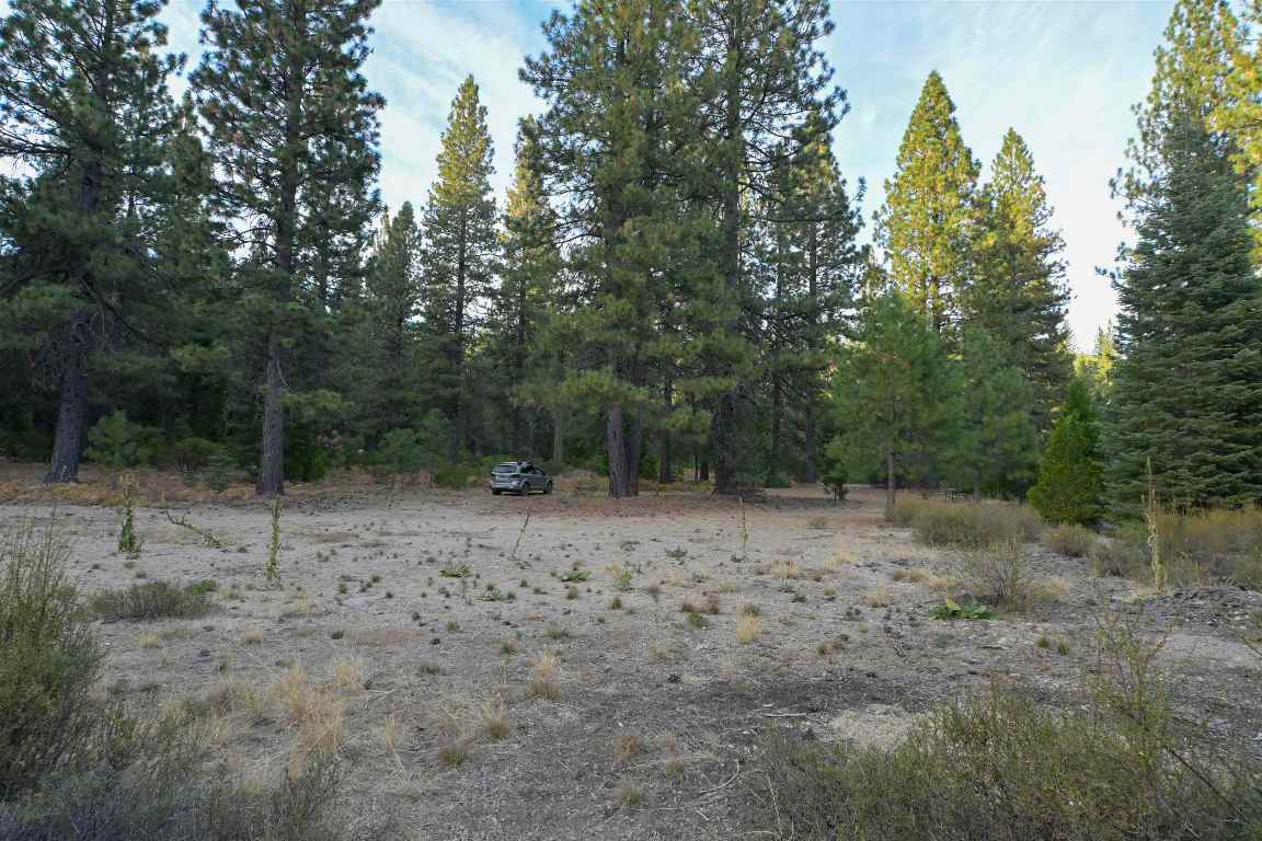 6729 Shasta Cove