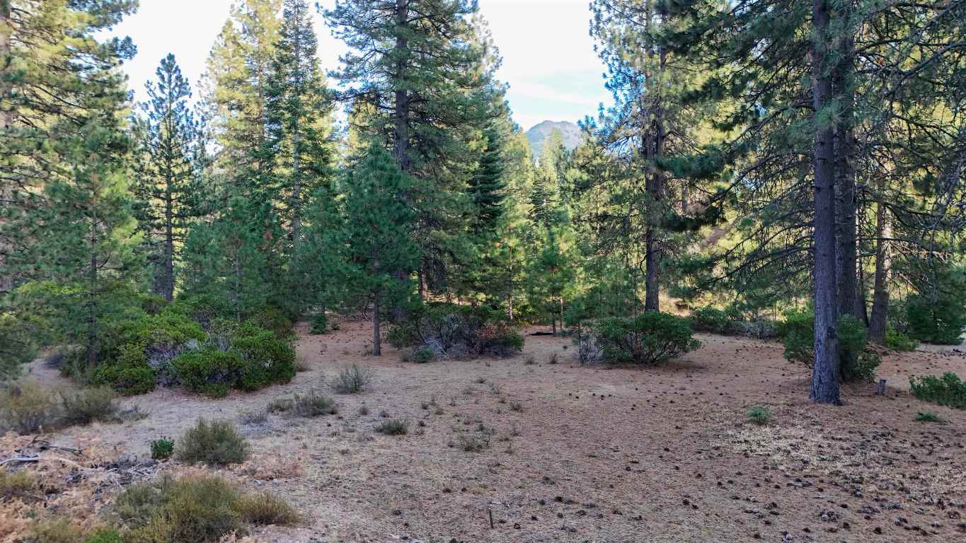 6729 Shasta Cove
