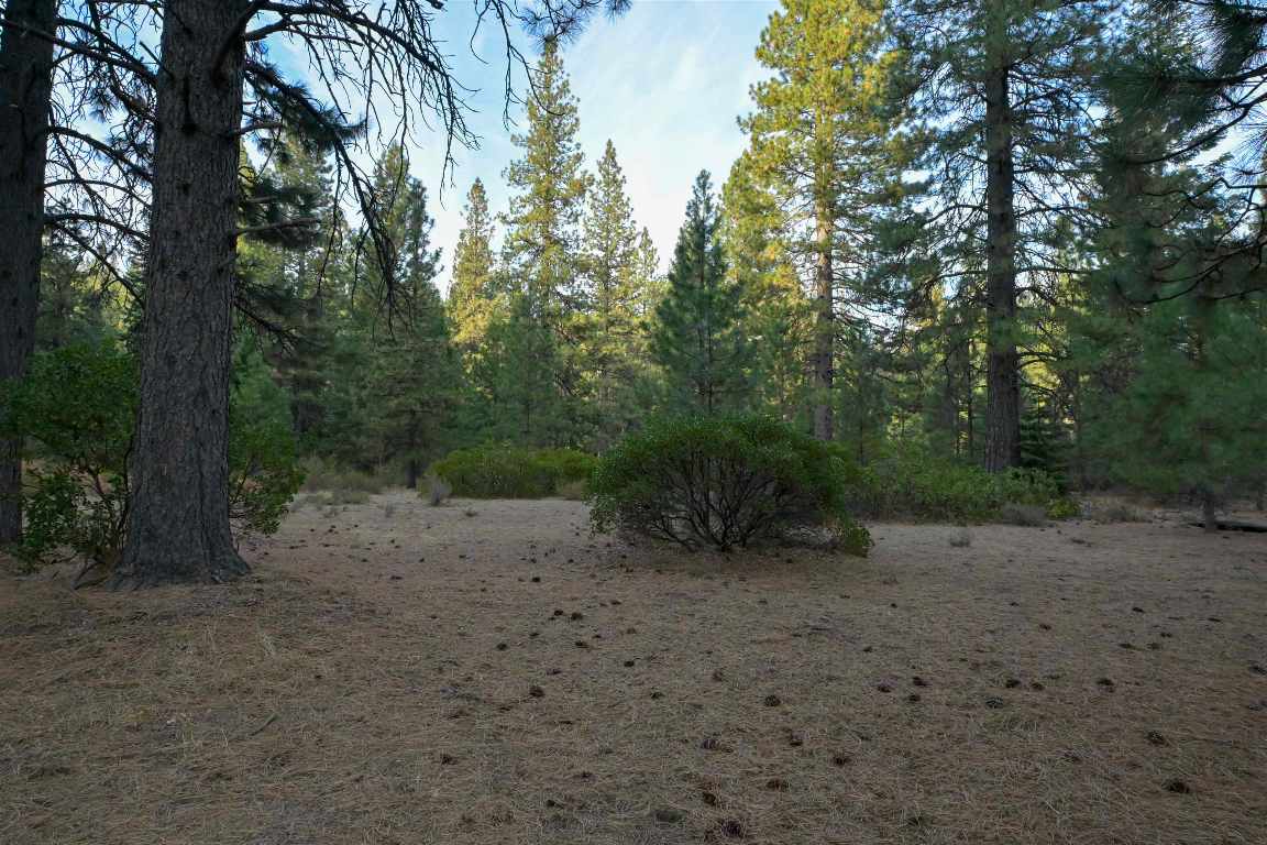 6729 Shasta Cove