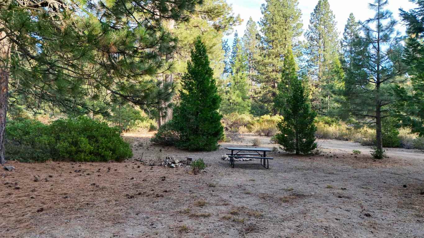 6729 Shasta Cove