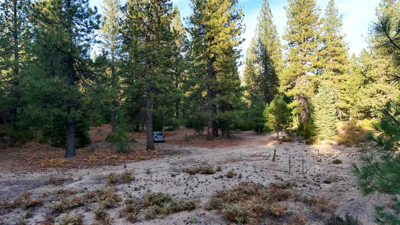 6729 Shasta Cove