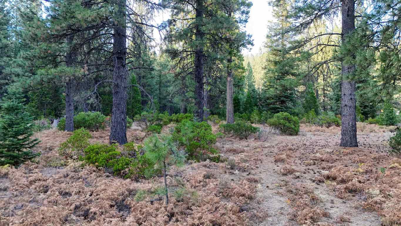 6729 Shasta Cove