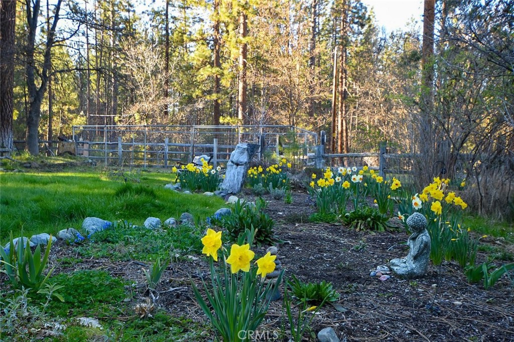 3829 N State Highway 3