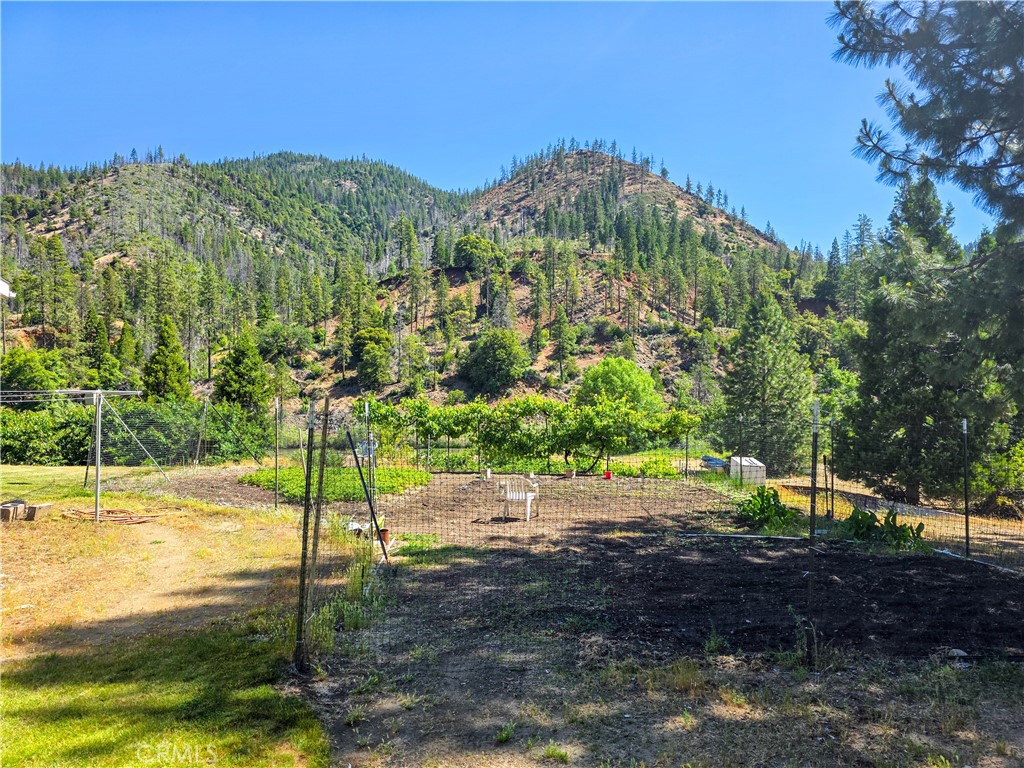 38727 State Highway 96