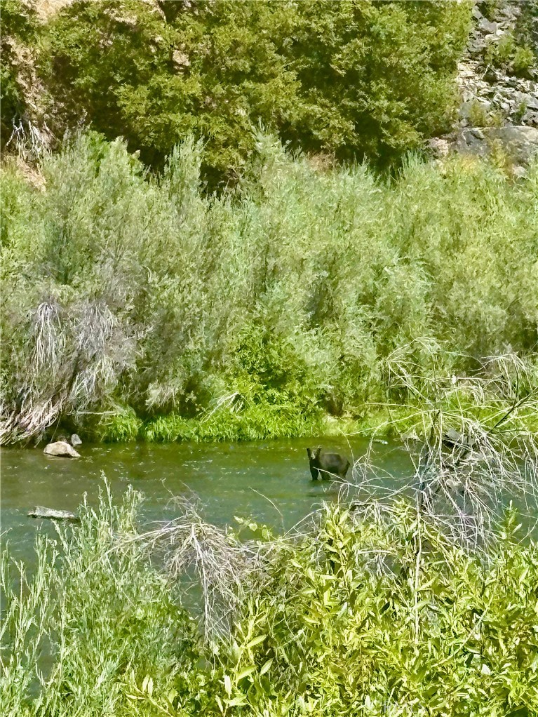 38727 State Highway 96