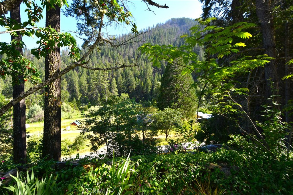 50721 State Highway 96